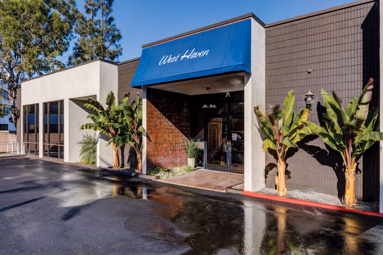 Exterior view of West Haven Healthcare building entrance with a blue awning displaying the facility name. The entrance is flanked by large green plants and has glass double doors. The ground in front is wet, reflecting parts of the building and plants.