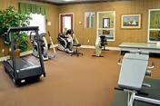A fitness room with exercise equipment including a treadmill, stationary bikes, and weight bench. The room has brown carpet, wood-paneled walls, framed pictures, and a large window with green curtains. There is also a potted plant in the corner.