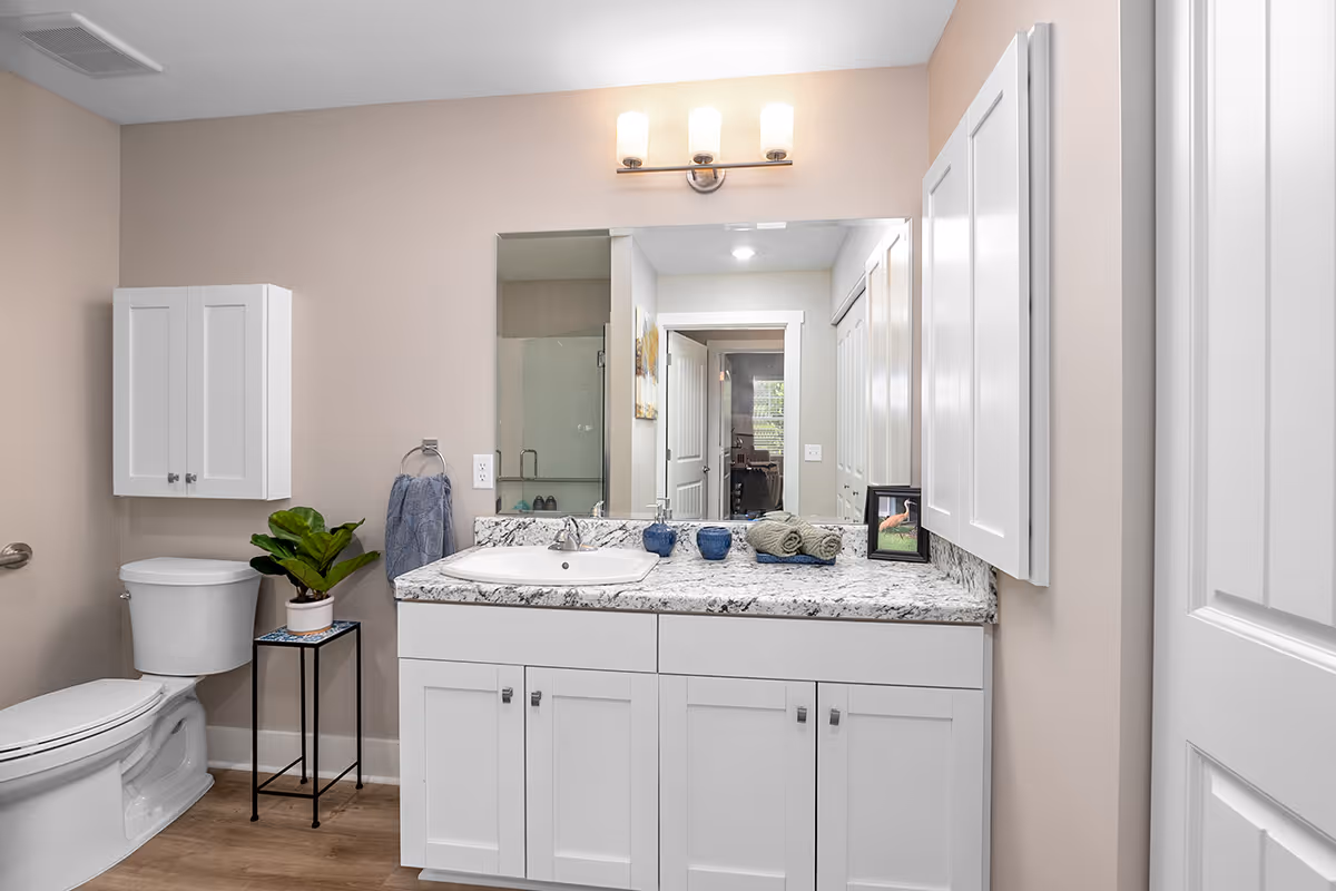 A clean and modern bathroom with a white toilet, a white vanity with a granite countertop, a sink, and a large mirror above it. There is a small plant on a black metal stand next to the toilet, a towel hanging on a ring, and a light fixture with two bulbs above the mirror. The walls are painted beige and the floor has wood-like flooring.
