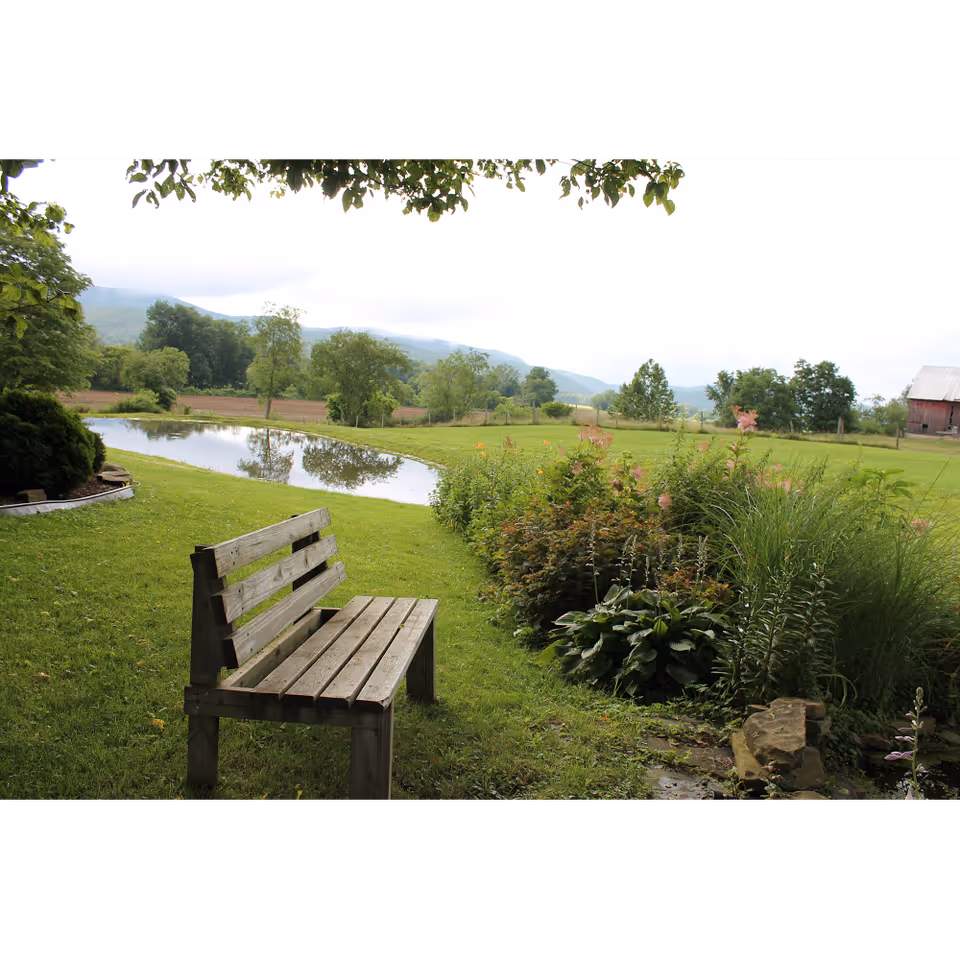 Wooden bench on a grassy lawn beside a small pond with flowering shrubs, trees, rolling hills and a distant barn.