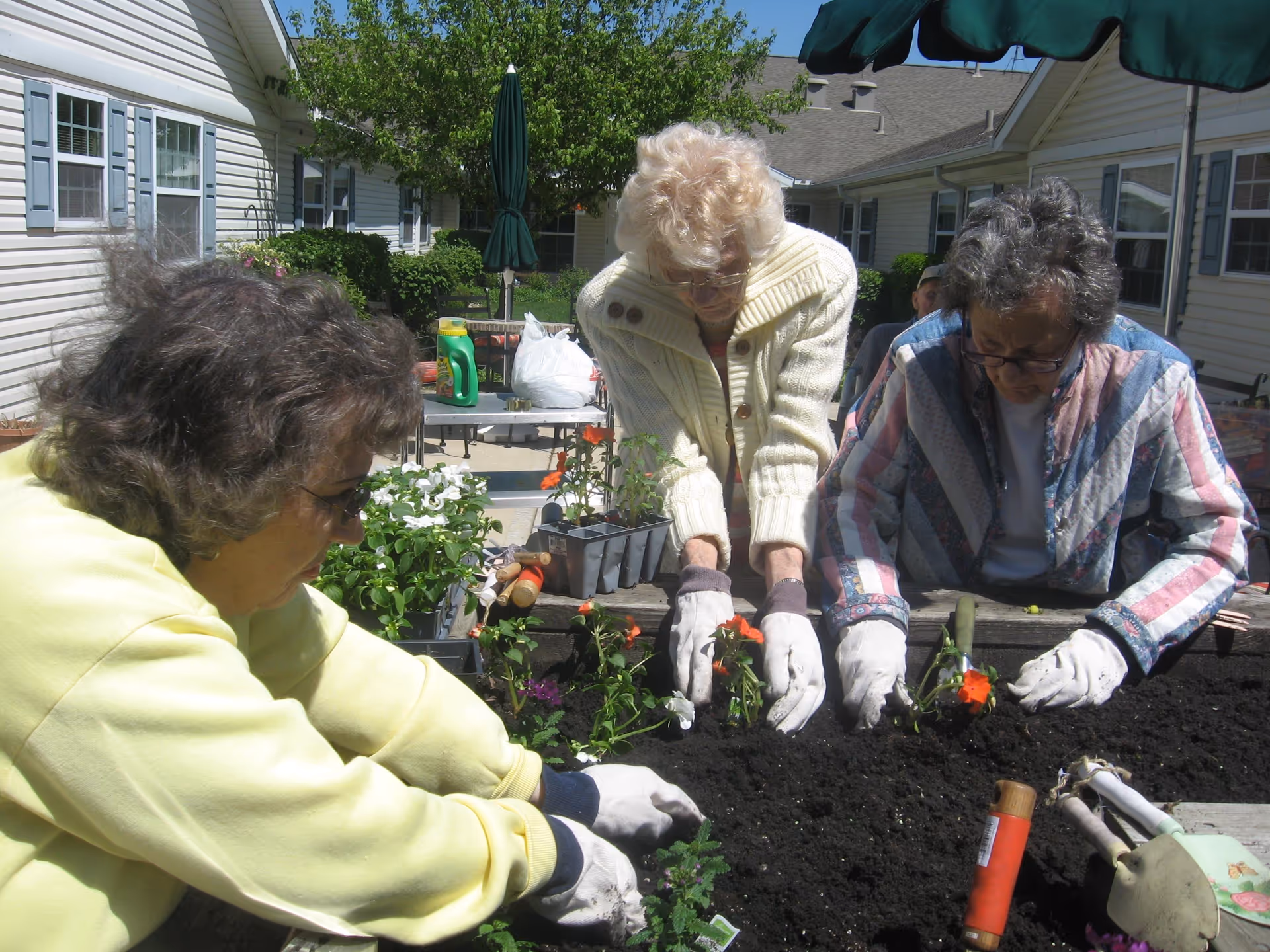 Photo 6 of Citadel Estates-Hazel Crest