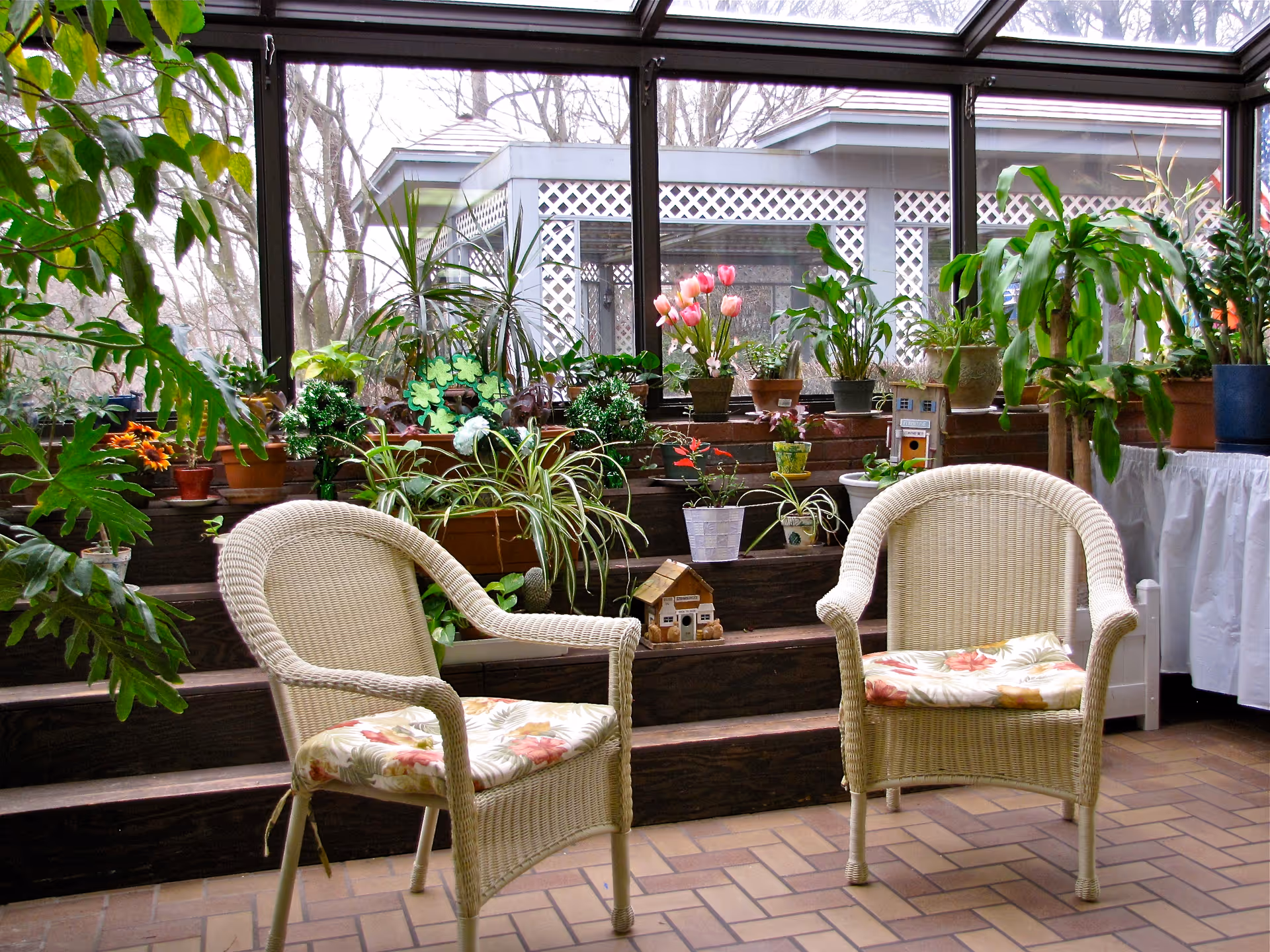 A sunroom with large windows and a glass ceiling, featuring two wicker chairs with floral cushions. The room has multiple potted plants arranged on tiered wooden shelves and a tiled floor.