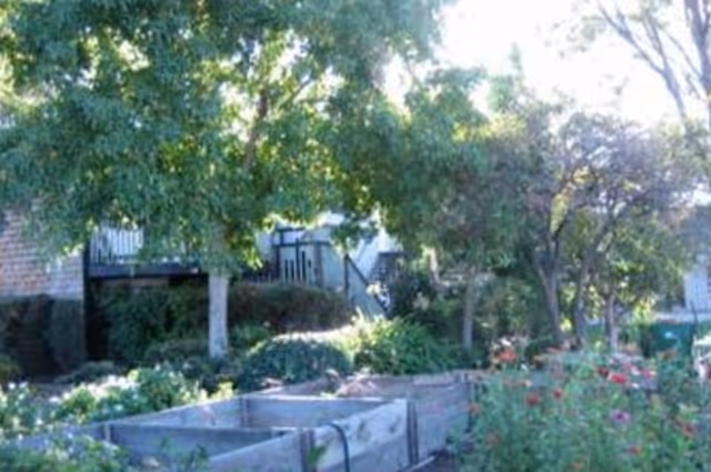 A garden area with raised wooden garden beds filled with plants and flowers, surrounded by trees and greenery. A building with stairs and a balcony is visible in the background.