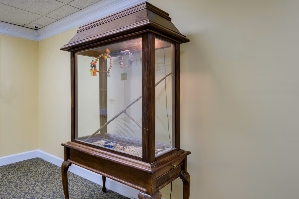 A wooden glass-enclosed bird cage with perches and hanging toys standing against a pale yellow wall in an interior hallway.
