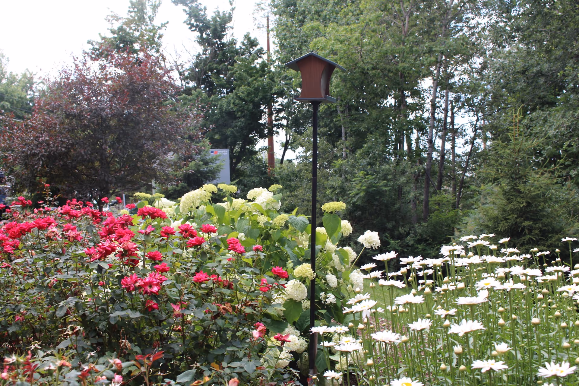 A vibrant garden area with blooming red roses, white daisies, and light green hydrangeas. A tall birdhouse on a pole stands in the middle of the garden, surrounded by lush green trees in the background.