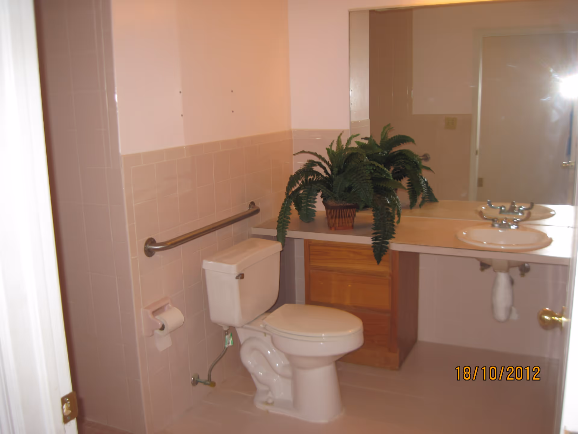 Bathroom with a white toilet, a beige tiled wall with a metal grab bar, a sink with a countertop and wooden cabinet underneath, a large mirror above the sink, and a potted green fern plant on the countertop.