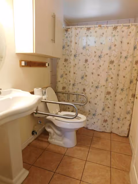 Compact bathroom with sink, toilet and safety grab bars beside a floral shower curtain.