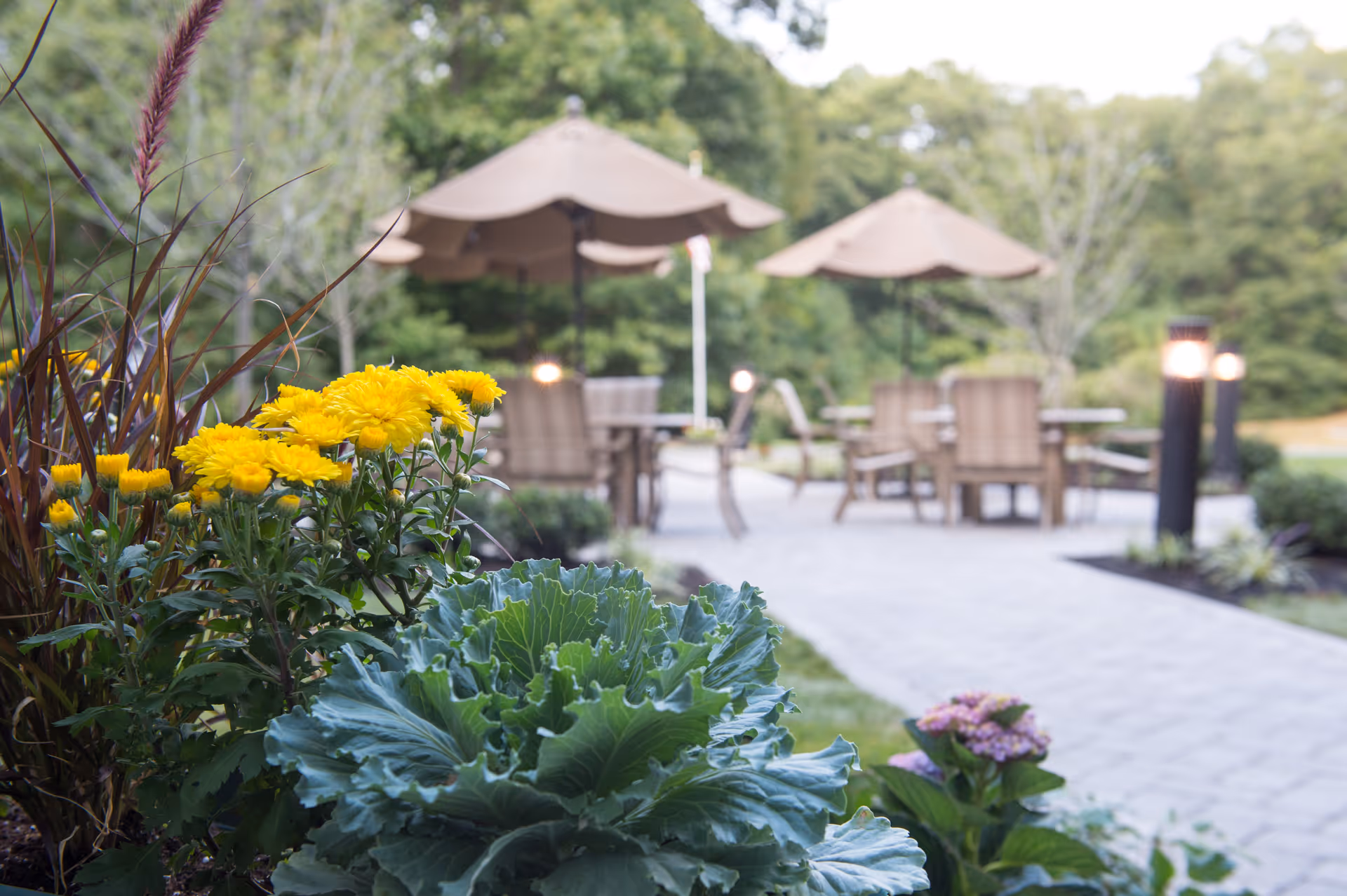 Outdoor patio area with tables, chairs, and umbrellas surrounded by greenery and flowering plants including yellow flowers and leafy plants in the foreground.