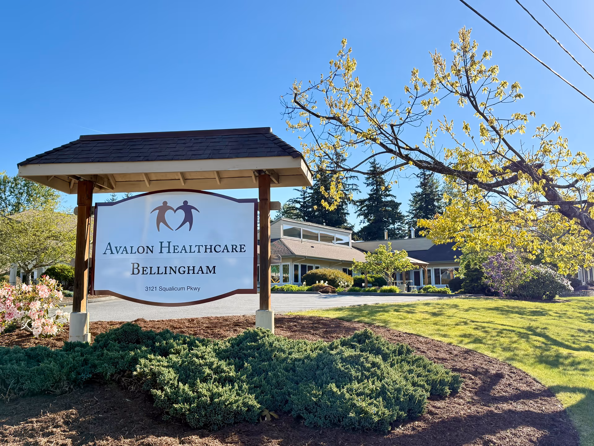 A wooden sign reading "Avalon Healthcare Bellingham" stands in landscaped grounds in front of the facility with the building, trees, and a clear blue sky behind it.