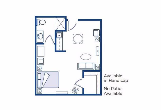 Architectural floor plan of a studio apartment layout showing a combined living and sleeping area with a bed, sofa, TV, dining table, kitchen appliances, and a bathroom with a shower, sink, and toilet. Text indicates the unit is available in handicap accessible version and no patio is available.