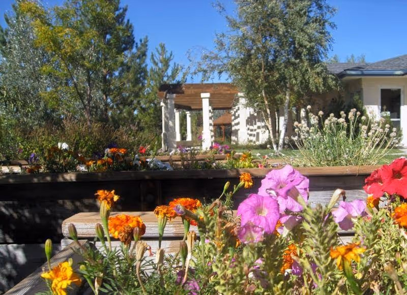 Outdoor garden area with colorful flowers in the foreground, wooden raised garden beds, trees, and a building with a pergola in the background under a clear blue sky.