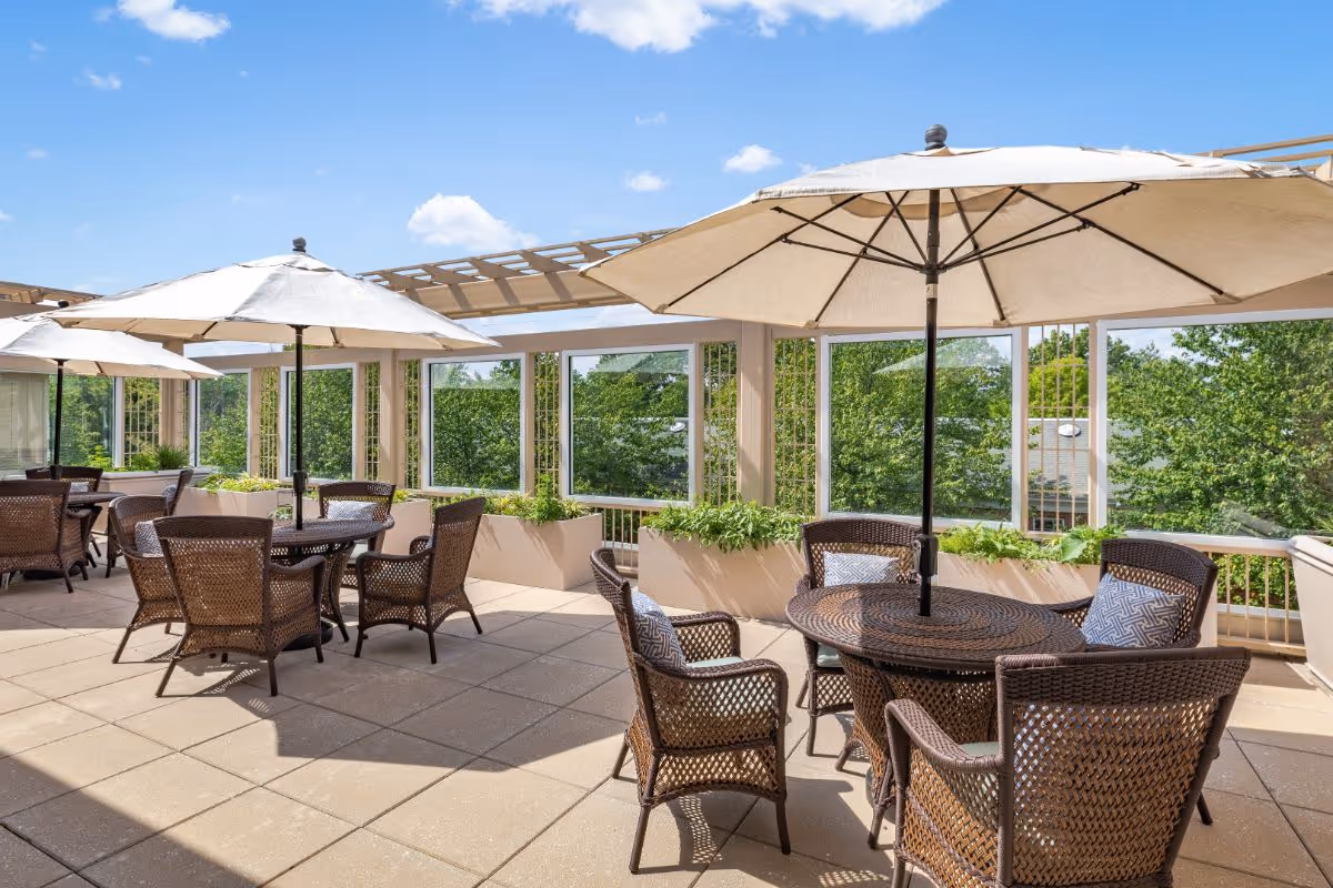 Sunlit outdoor terrace with wicker tables and chairs under large umbrellas overlooking trees.