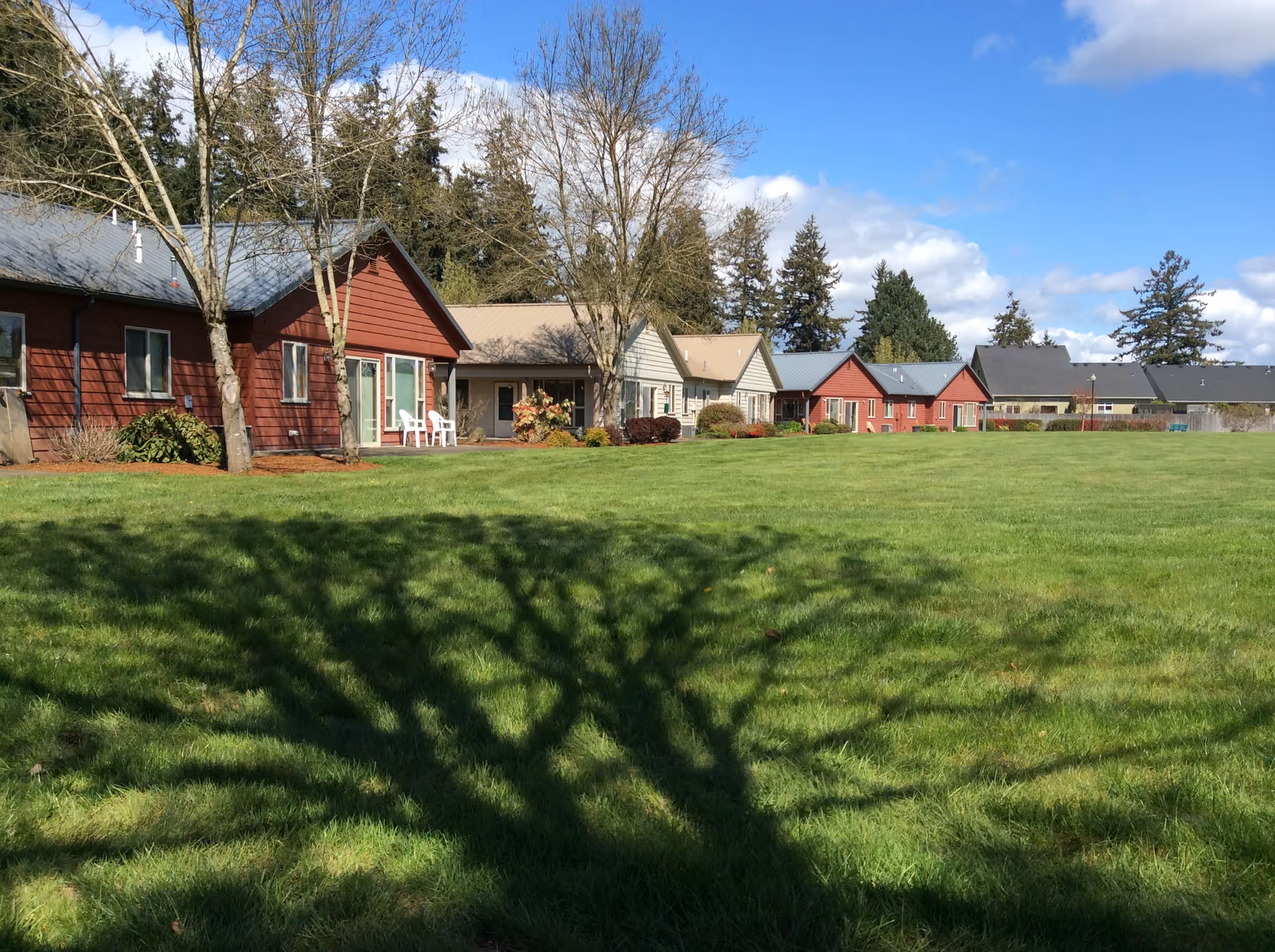 A row of single-story residential buildings with various colored siding including red and beige, situated behind a large green lawn with tree shadows cast on the grass. The sky is blue with some clouds, and there are leafless trees and evergreen trees in the background.