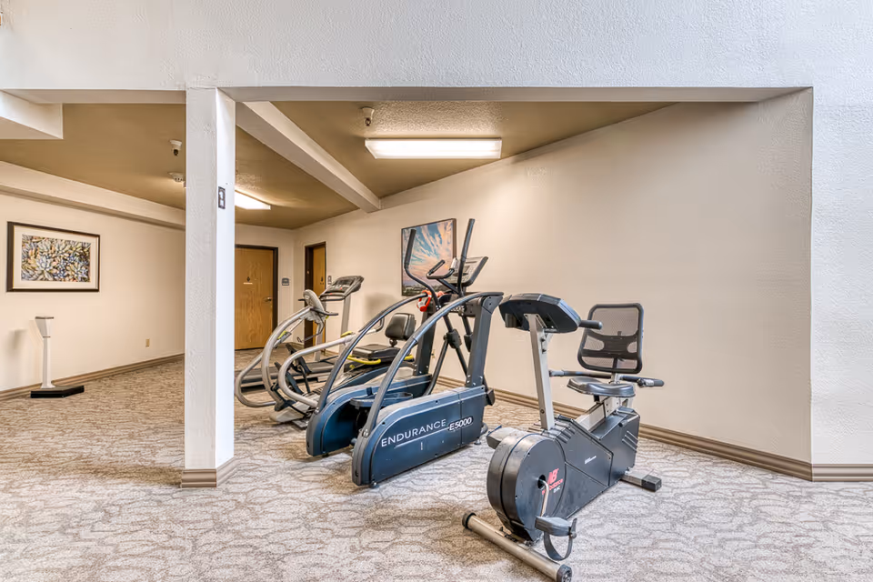 Indoor exercise area with three pieces of cardio equipment including a recumbent bike and two elliptical machines, carpeted floor, beige walls, and a framed artwork on the wall.