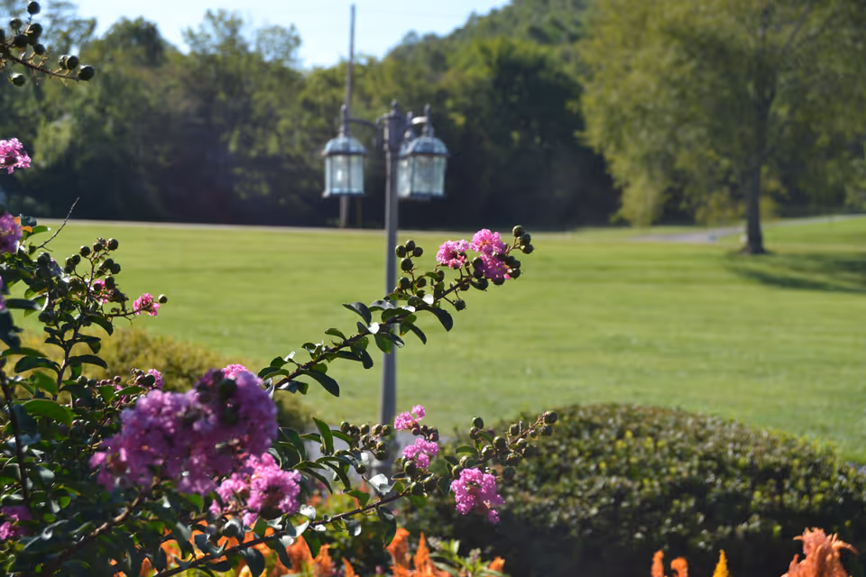 A garden area with blooming pink flowers in the foreground, green bushes, and a grassy lawn with trees in the background. There is a lamp post with two lanterns in the middle distance.