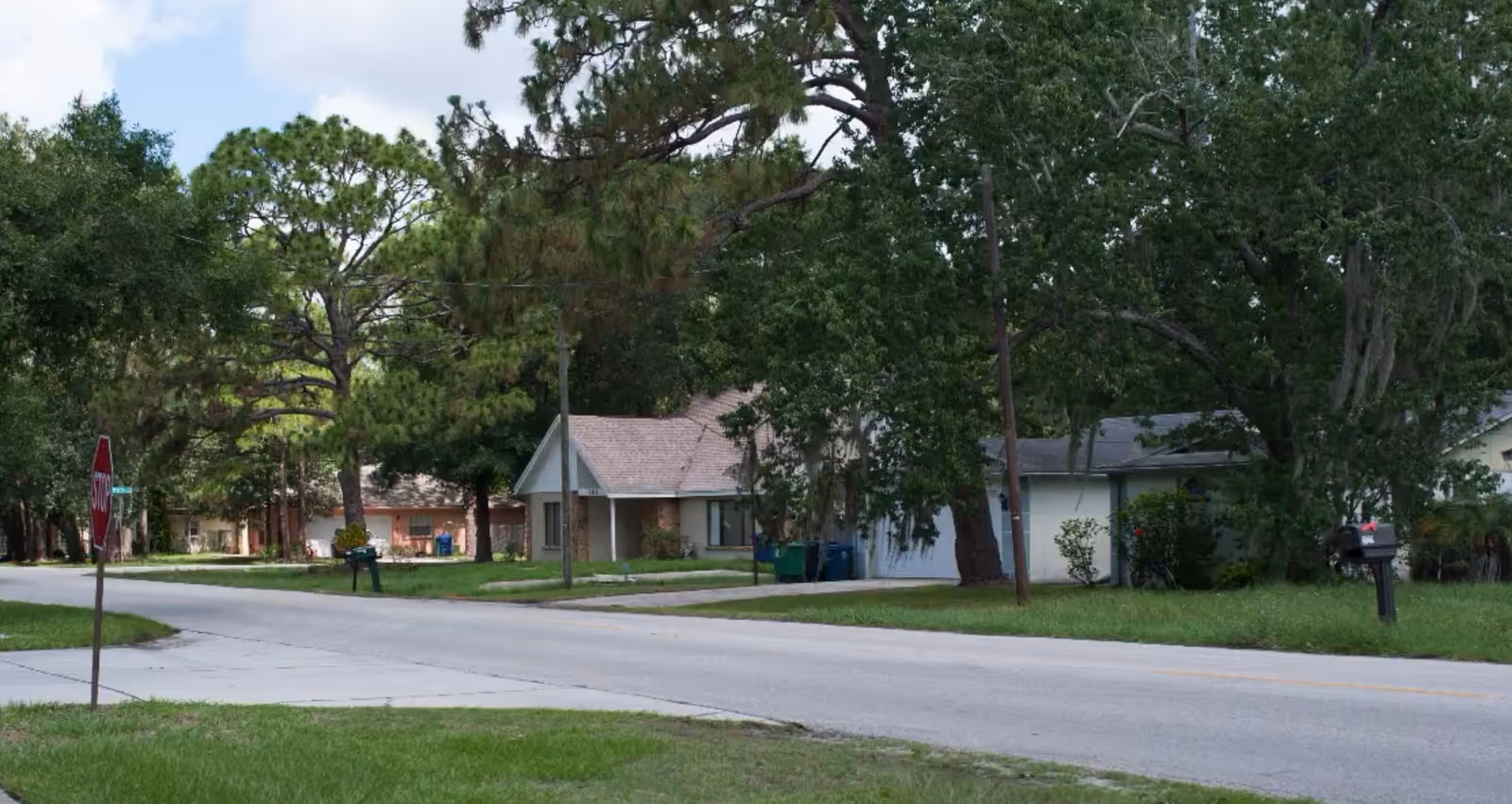 Suburban street with single-story houses partly obscured by large trees, a stop sign and mailboxes along the road.