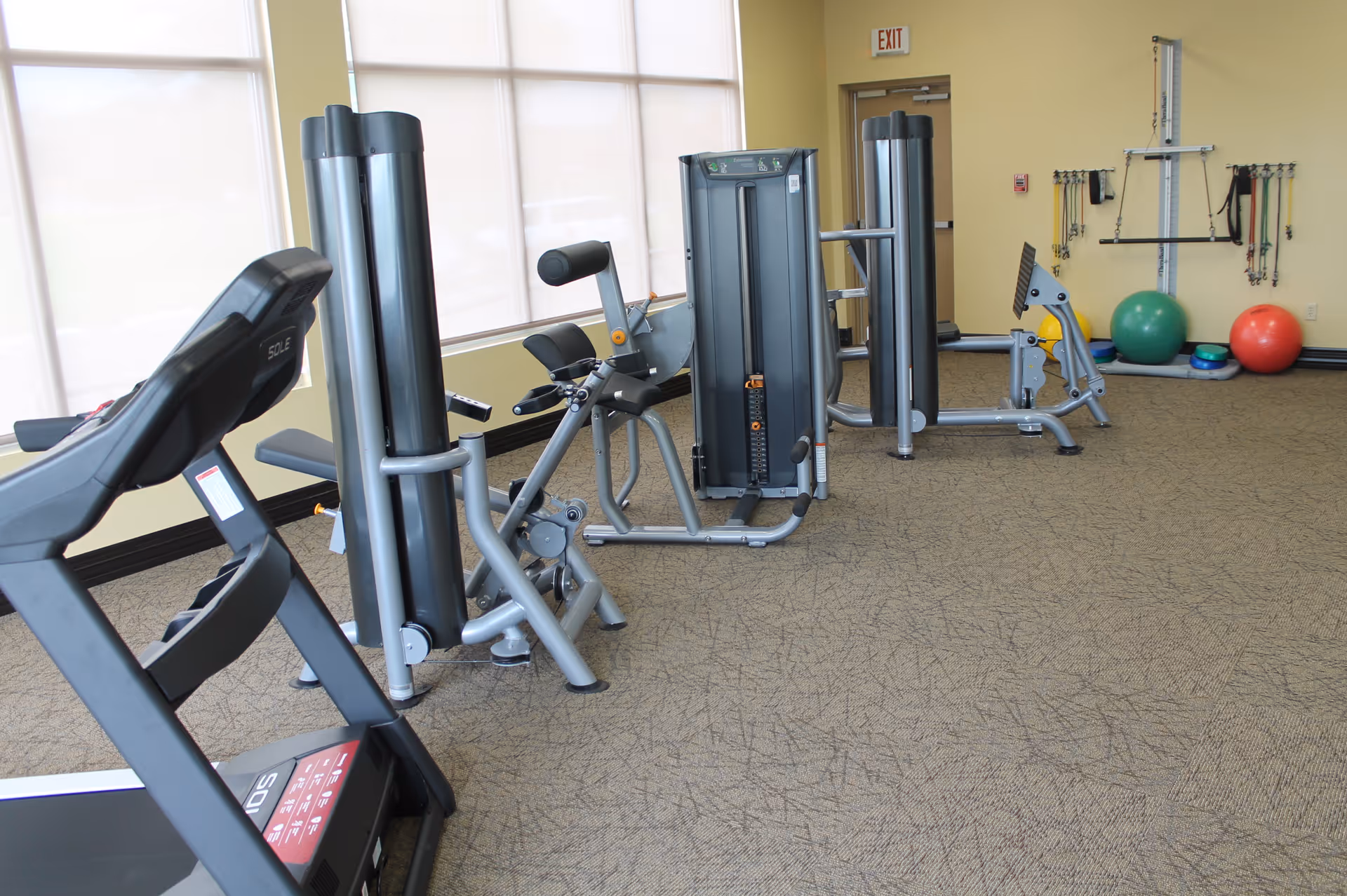 Bright exercise room with treadmills, weight machines, resistance bands and exercise balls by large windows.