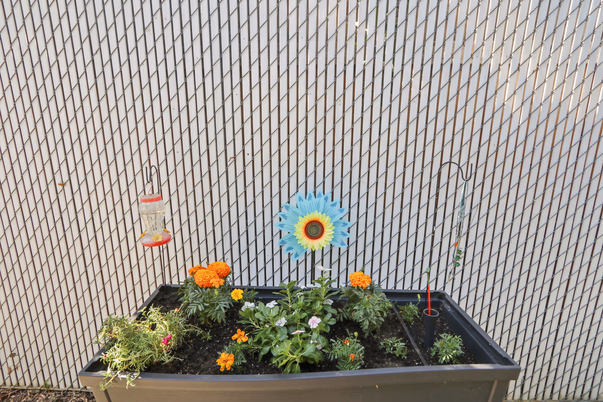 A rectangular planter box filled with various flowering plants including orange marigolds and other small flowers, placed outdoors against a chain-link fence. A blue and yellow decorative sunflower stake is in the center of the planter. Two hooks hang on the fence, one holding a hummingbird feeder and the other holding a wind chime.