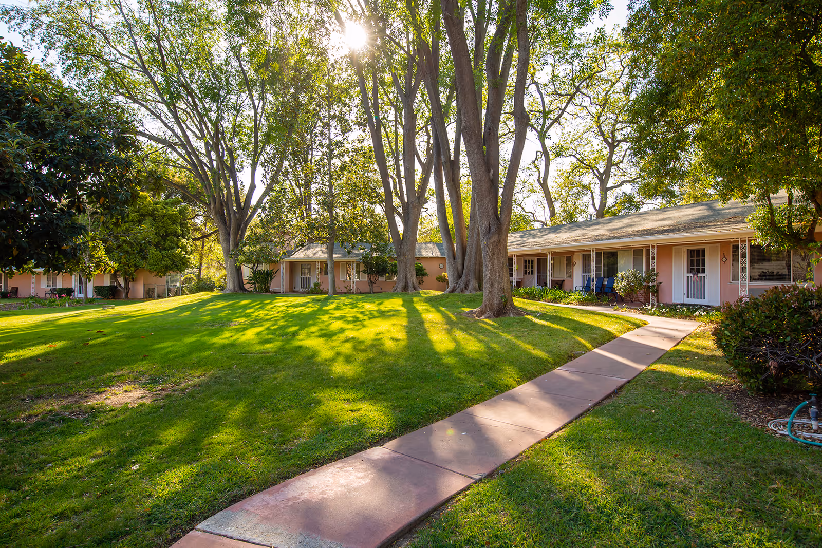 Sunlit outdoor area of Gables of Ojai featuring a curved concrete walkway, green grass, large trees casting shadows, and single-story buildings with porches and chairs.