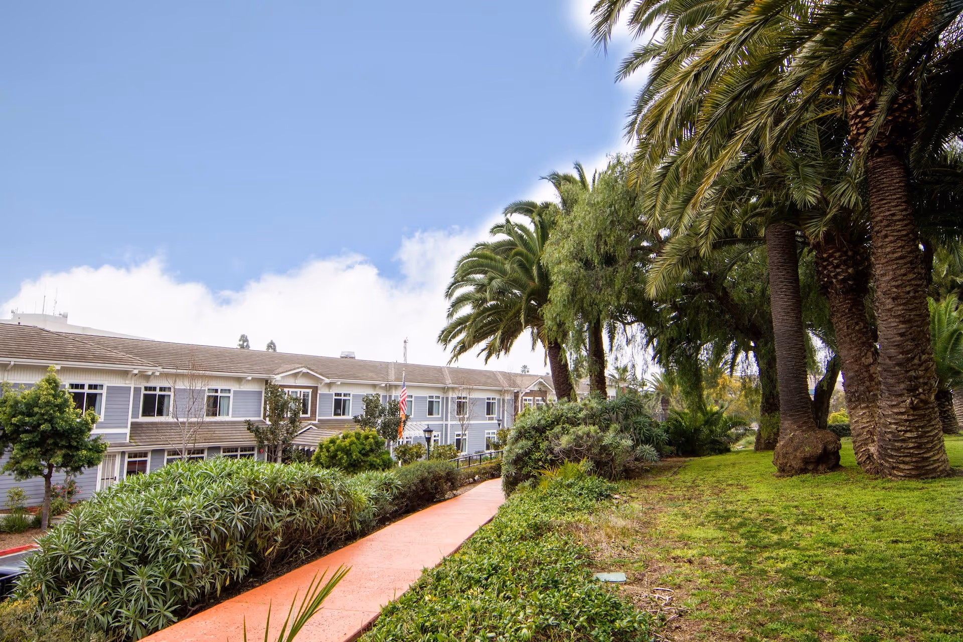 Outdoor view of Ivy Park at Huntington Beach featuring a paved walkway bordered by green shrubs and tall palm trees on a grassy area, with a two-story building in the background under a partly cloudy sky.