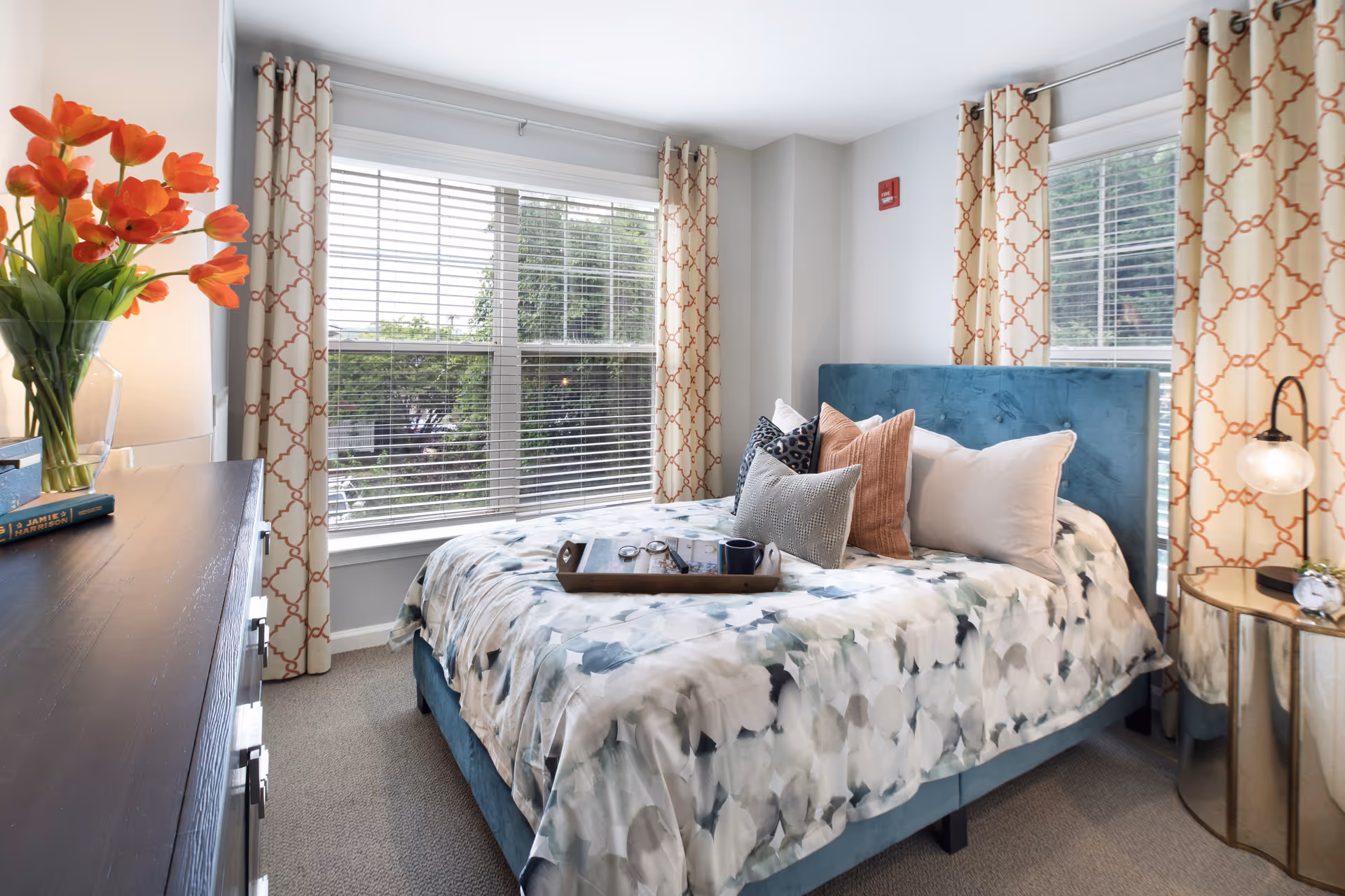 Photo 28 of Sunrise of Alexandria