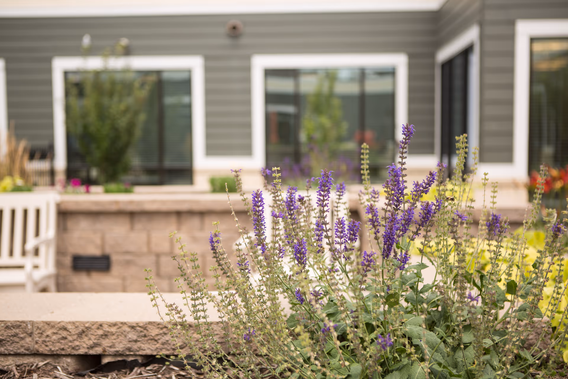 Purple flowers in a garden bed with a stone border in front of a building with large windows and gray siding. A white bench is partially visible on the left side.