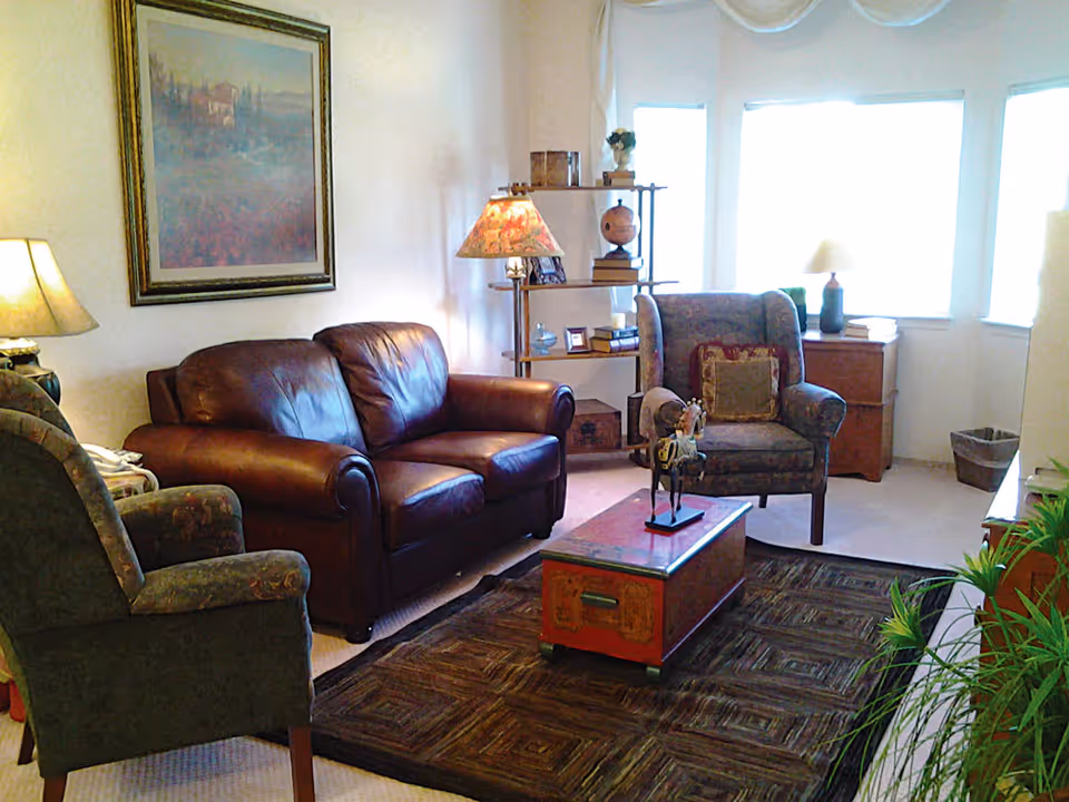 Cozy living room with a brown leather loveseat, two upholstered armchairs, a decorative coffee table on a rug, shelving and lamps by bright windows.