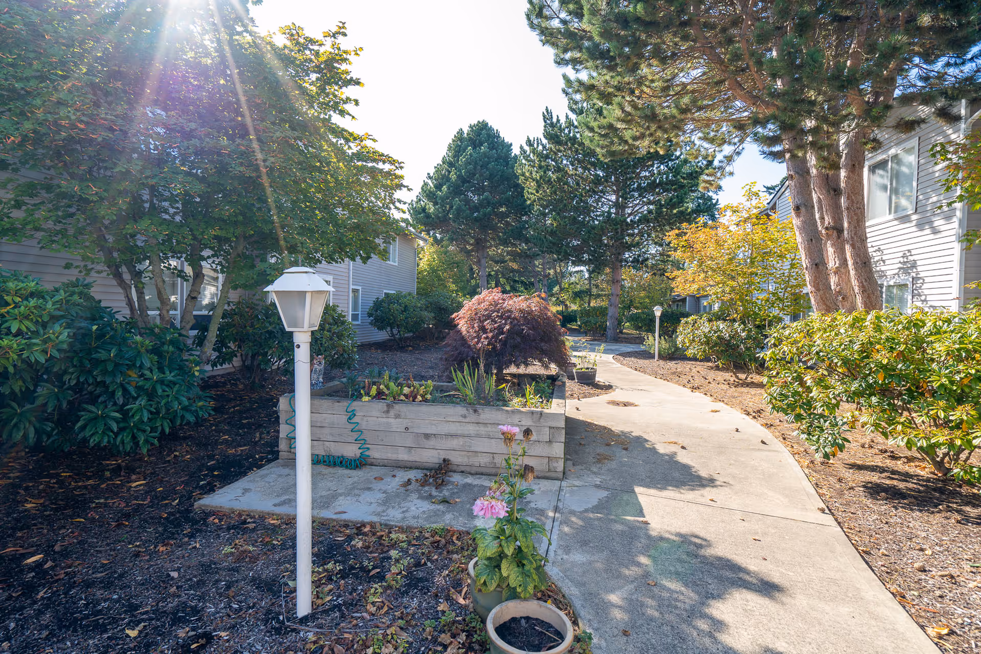 A sunny outdoor pathway winding through a landscaped garden area with trees, shrubs, and raised wooden planter boxes. Residential buildings are visible on both sides of the path, and a white lamp post stands near the walkway.