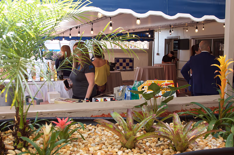 Outdoor covered patio area with string lights and several people standing and conversing near tables. In the foreground, there is a planter with various green and flowering plants surrounded by small rocks.