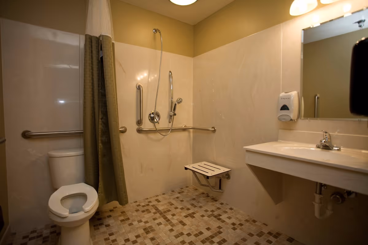 Accessible bathroom with a toilet, a wall-mounted shower seat, grab bars, a handheld showerhead, a shower curtain, a sink with a faucet, a soap dispenser, and a large mirror.