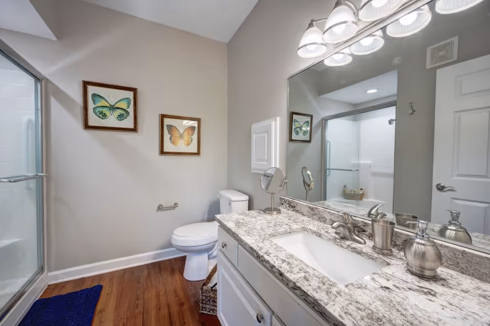 A clean bathroom with a white toilet, a glass-enclosed shower, and a granite countertop with a sink. Above the sink is a large mirror with a light fixture featuring five lights. The walls are light-colored and decorated with two framed butterfly pictures. The floor is wood-style, and there is a blue bath mat near the shower.