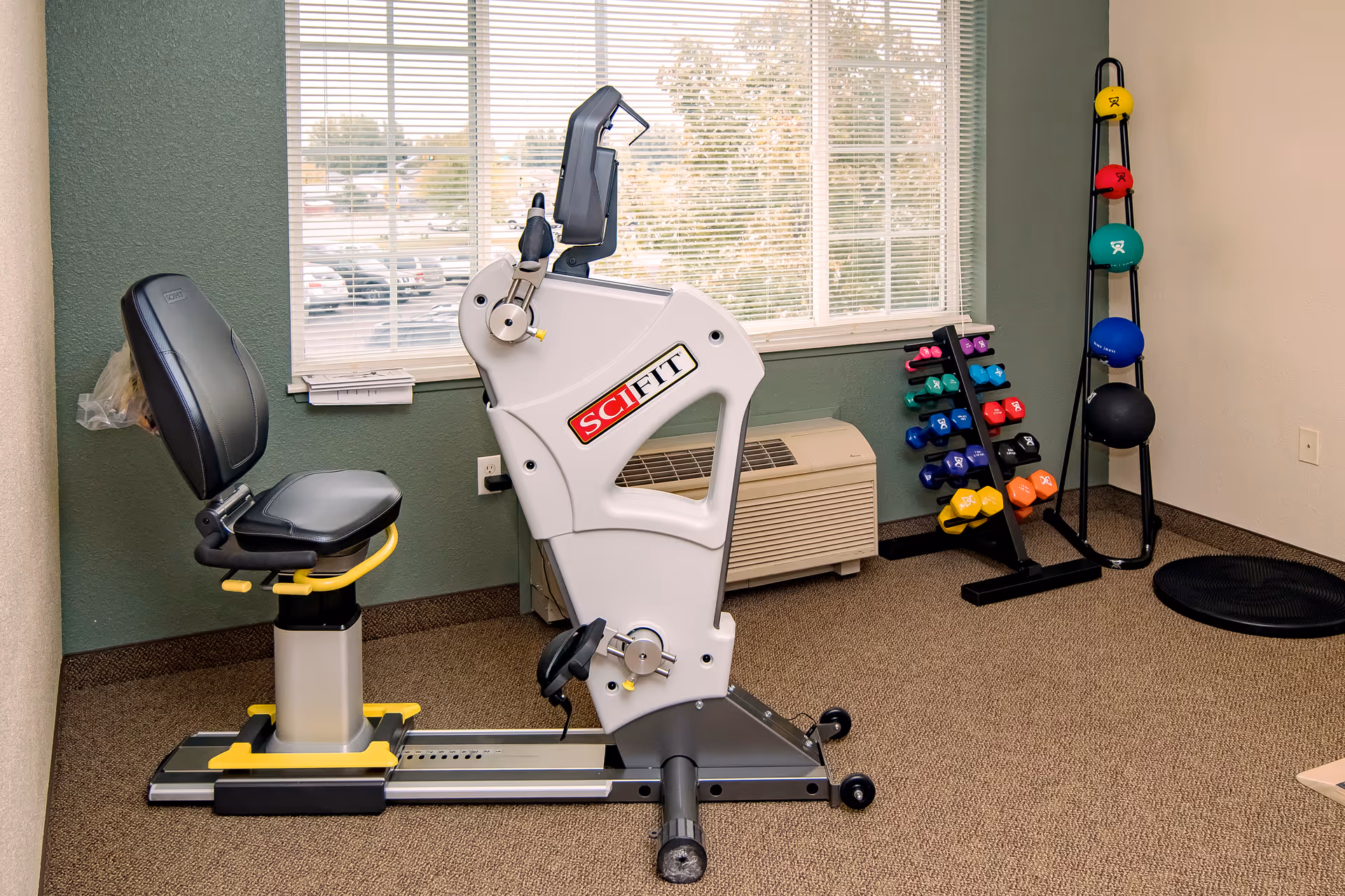 A small exercise room with a SciFit recumbent exercise bike, a rack of colorful dumbbells, and a vertical rack holding various medicine balls. The room has green and beige walls, a window with blinds, and a carpeted floor.
