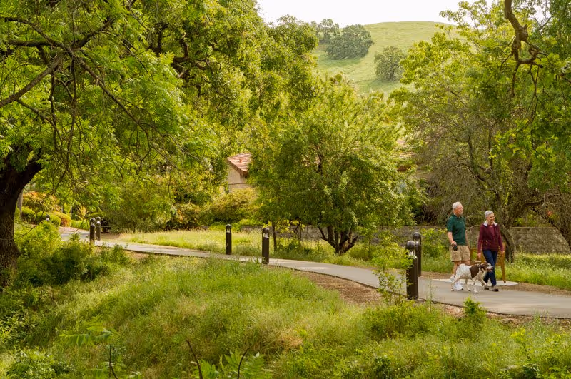 A scenic outdoor pathway surrounded by lush green trees and grass with a hill in the background. An elderly couple is walking two dogs along the paved path.