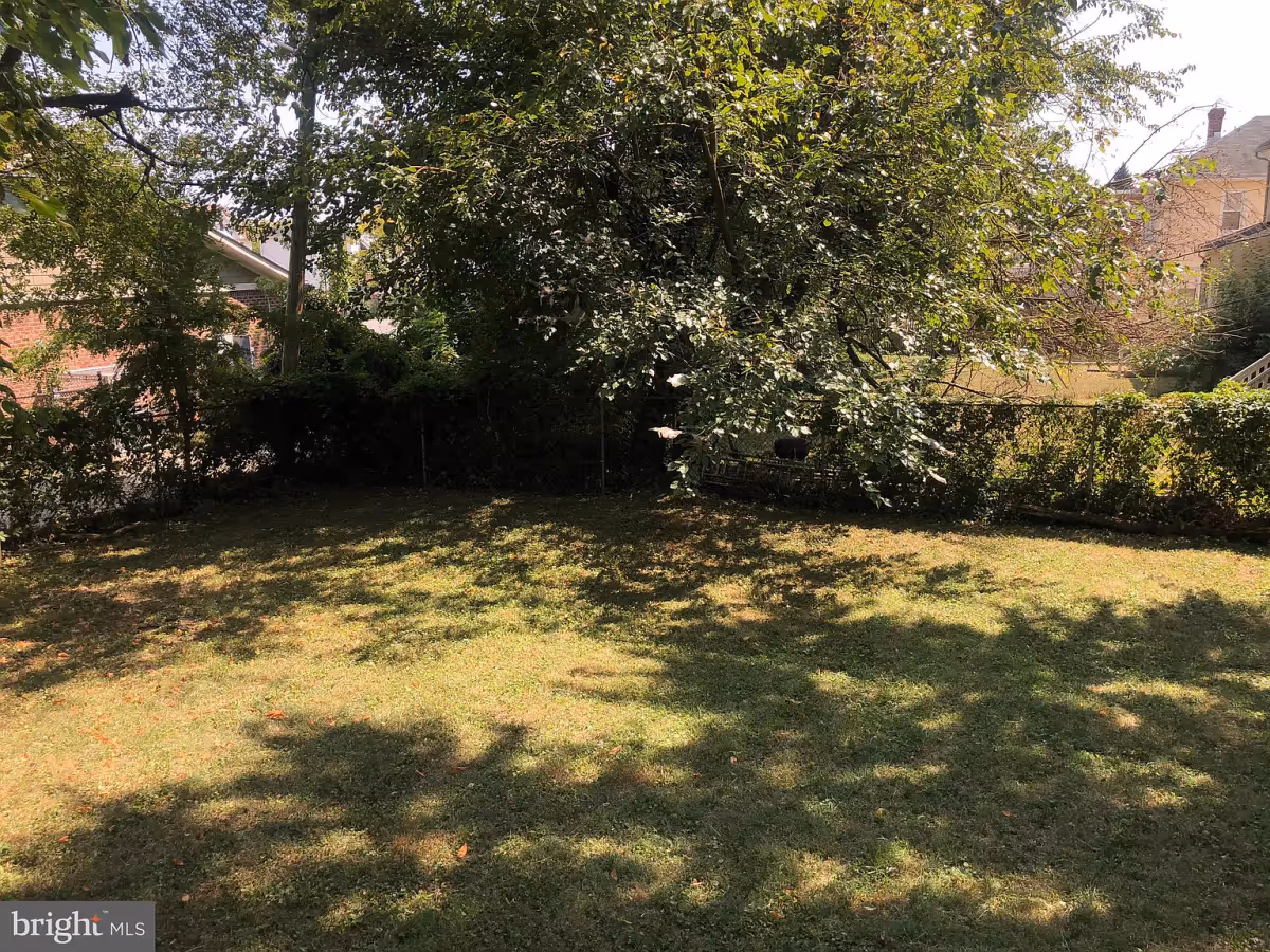 A grassy backyard area with shadows from surrounding trees. There is a chain-link fence covered with some greenery and bushes. Houses are partially visible in the background behind the fence.