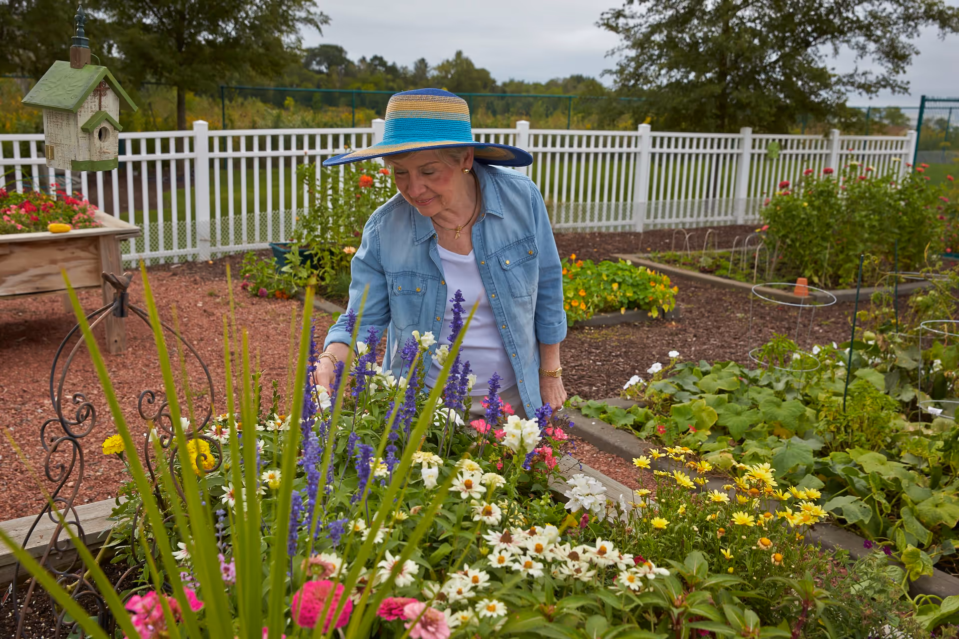 An elderly woman wearing a blue and tan wide-brimmed hat and a denim shirt tends to a colorful flower garden with various blooming flowers. The garden is surrounded by a white fence and there is a birdhouse on a stand nearby. Trees and greenery are visible in the background under a cloudy sky.
