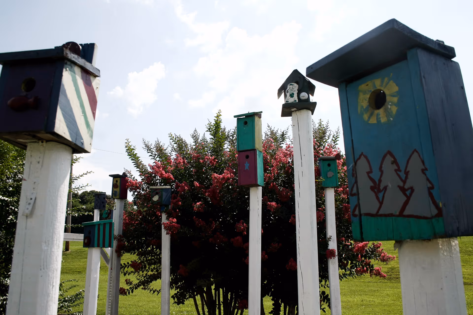 Colorfully painted birdhouses mounted on white posts in front of a flowering shrub and grassy lawn.