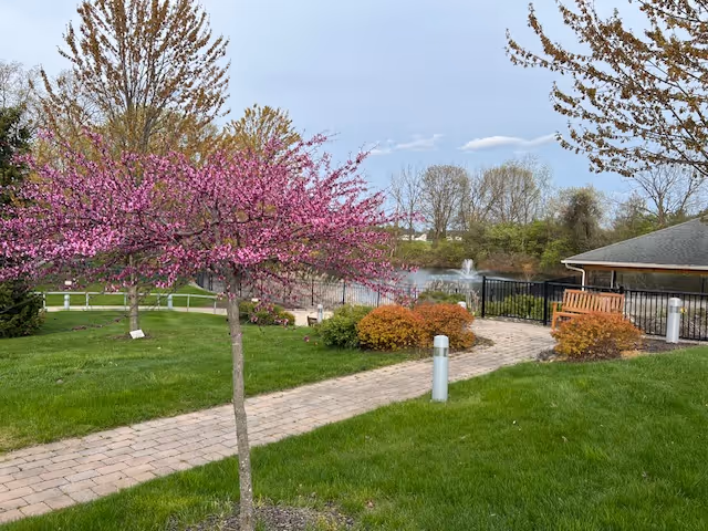 A landscaped outdoor area with a paved walkway, green grass, and a small tree with pink blossoms. In the background, there is a pond with a water fountain, some bushes, and a building with a bench near a black metal fence.