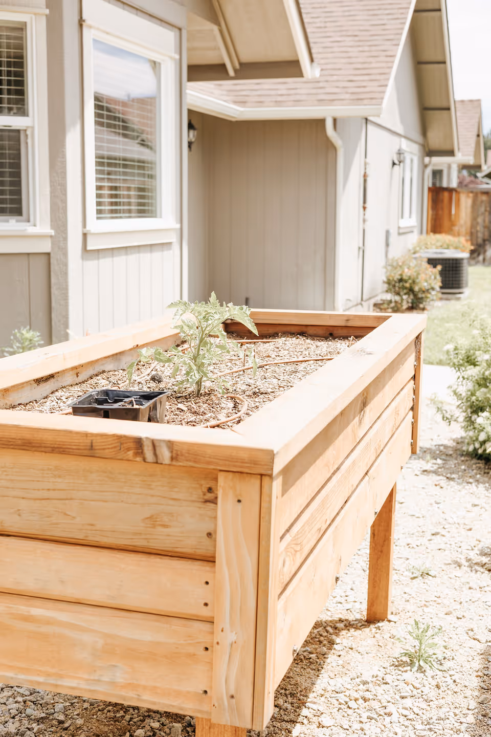 A wooden raised garden bed with soil and a small plant growing in it, placed outdoors next to a beige building with windows and a shingled roof. The area around the garden bed is covered with gravel and some greenery is visible in the background.