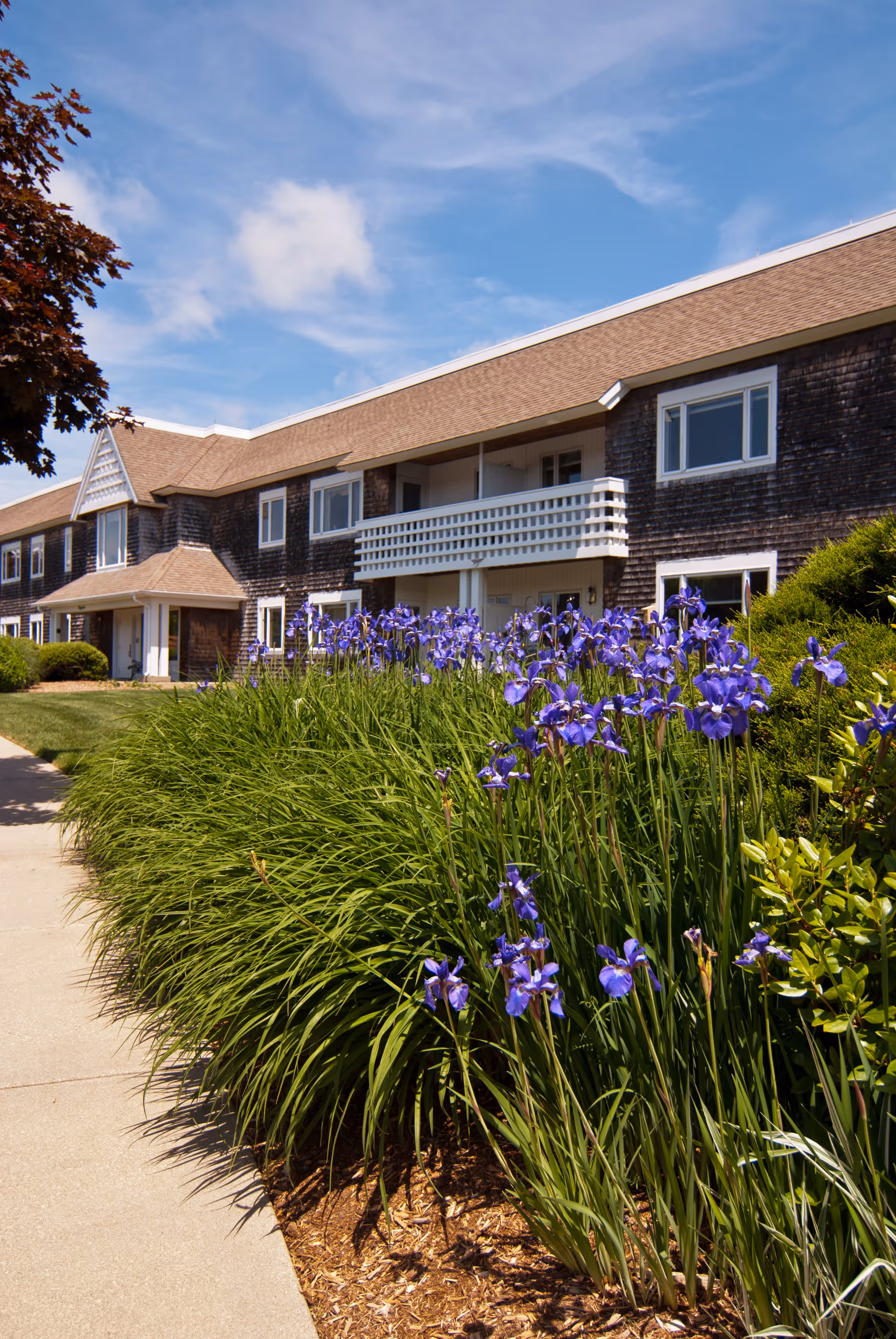 Exterior view of a two-story senior living facility building with brown shingle siding and a tan roof. In the foreground, there is a garden bed with tall green grass and blooming purple flowers along a concrete walkway. The sky is blue with some clouds.