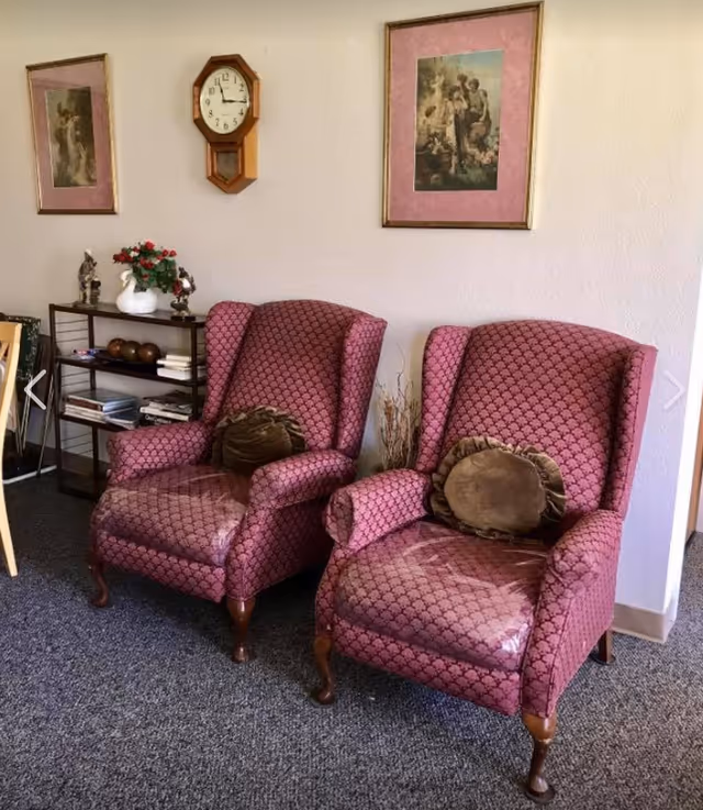 Two upholstered armchairs with a patterned pink fabric and round brown pillows are placed side by side on a carpeted floor. Behind the chairs, there is a small shelving unit with decorative items including a white swan figurine and a small plant with red flowers. On the wall above the chairs, there are two framed pictures and a wooden wall clock.