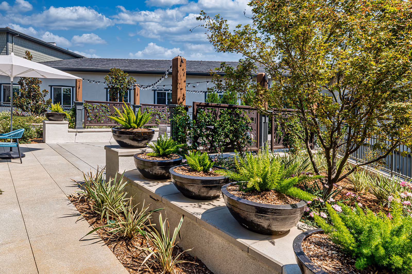 Sunny outdoor courtyard with large potted plants, landscaping, and seating near a building.
