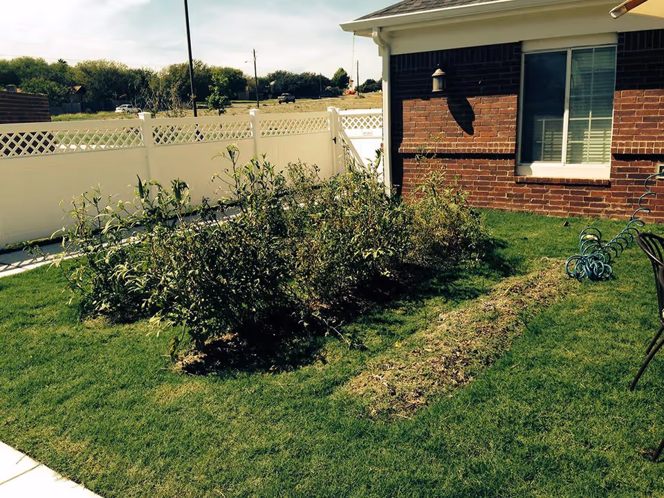 A small garden area with green grass and a patch of plants in front of a brick building with a window. There is a white fence in the background and a coiled garden hose on the grass near the building.