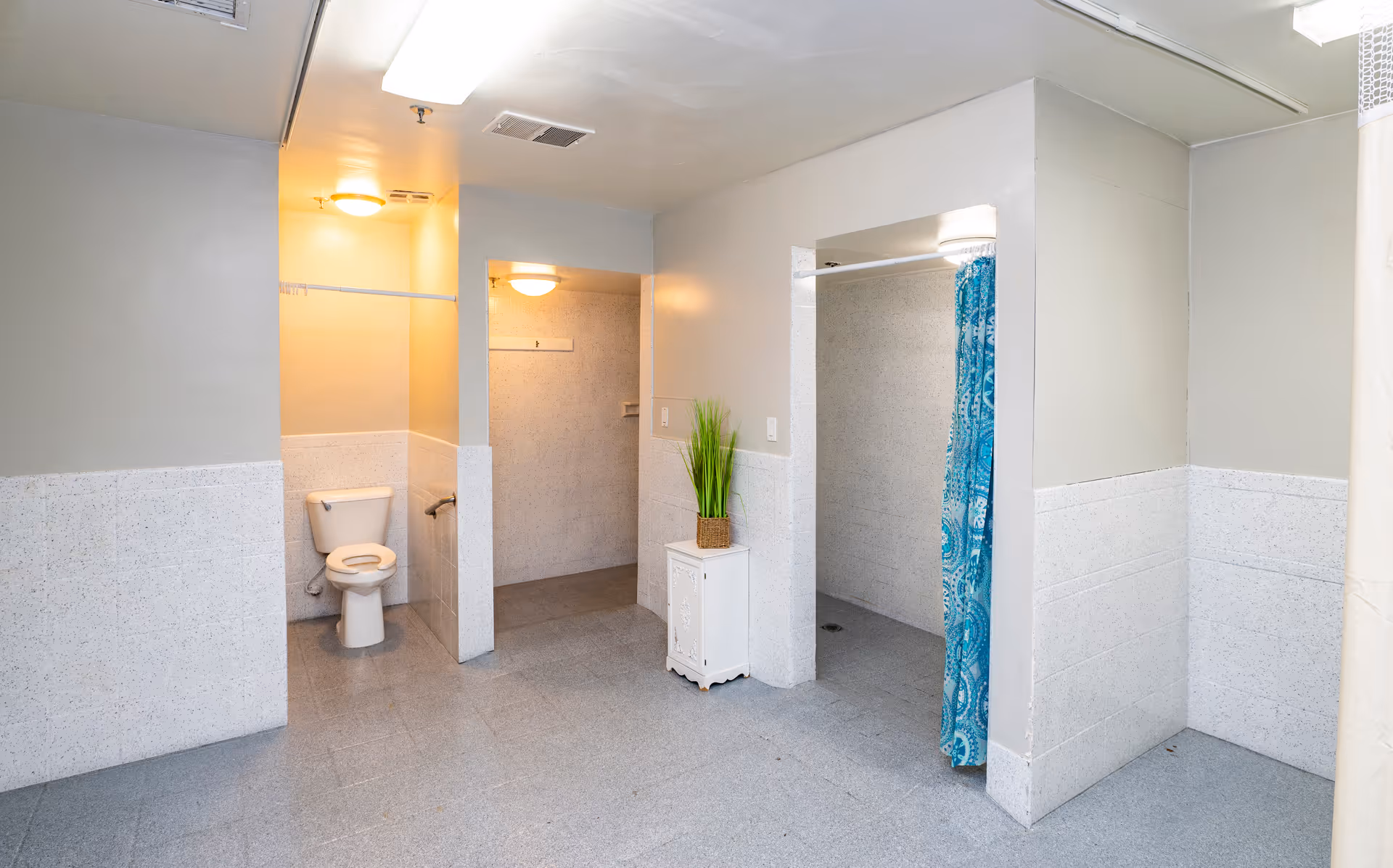 Spacious accessible bathroom with a toilet stall, an open shower area with a blue curtain, and a small cabinet topped with a potted plant.