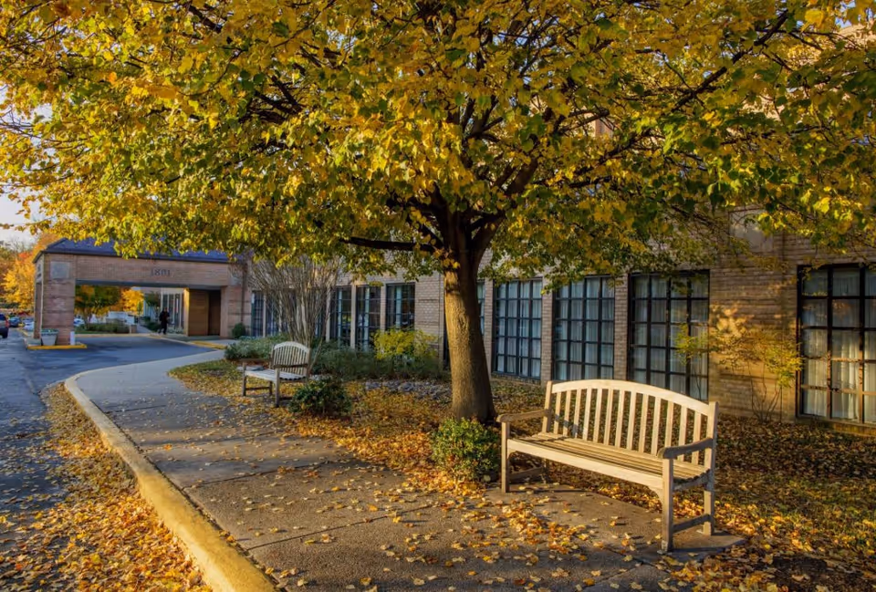 Outdoor scene at Ring House facility featuring a sidewalk lined with fallen autumn leaves, two wooden benches, a large tree with yellow and green leaves, and a brick building with large windows in the background.
