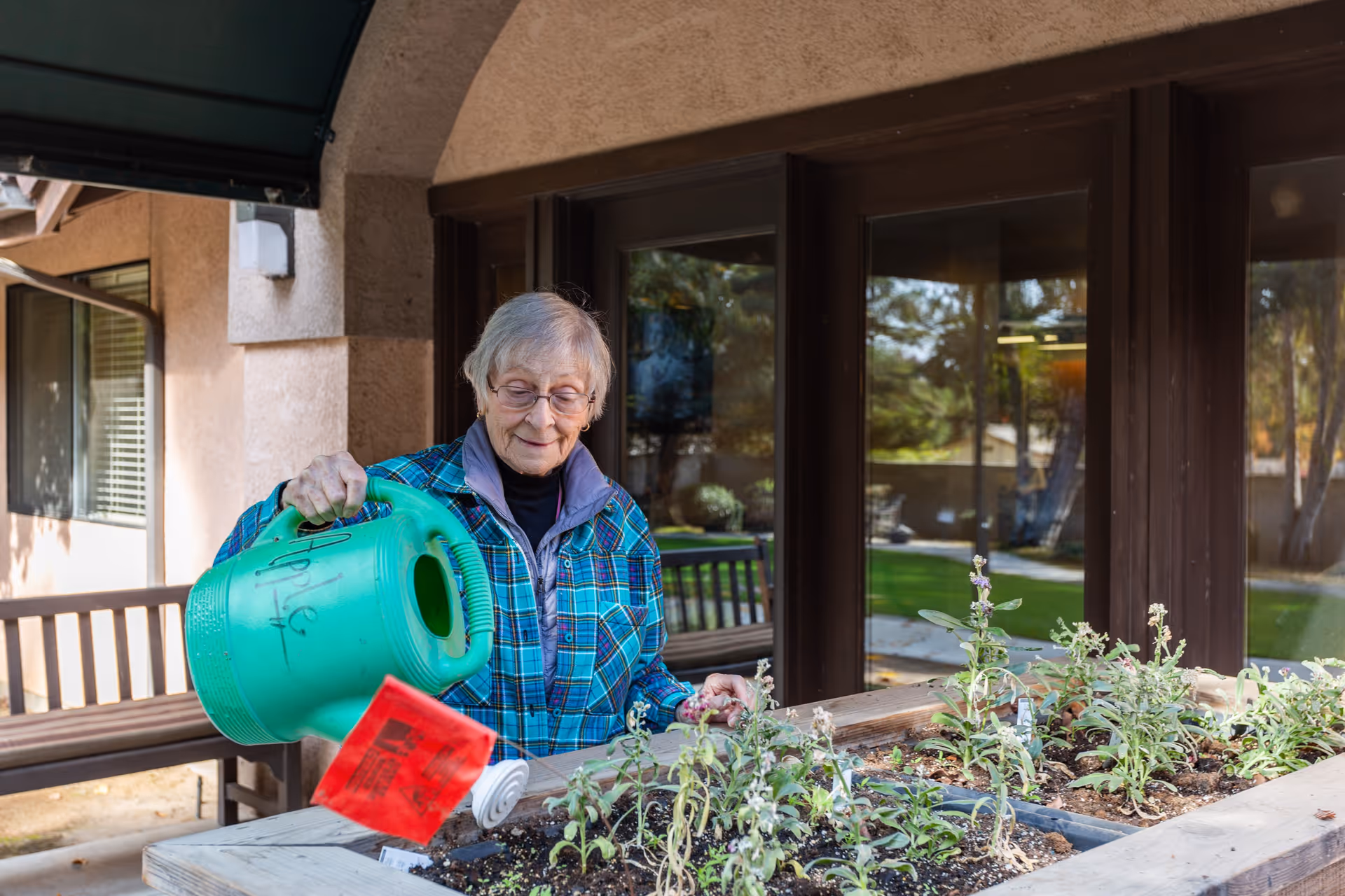 An elderly woman wearing glasses and a blue plaid jacket waters plants in a raised garden bed outside a building with large windows and a bench nearby.