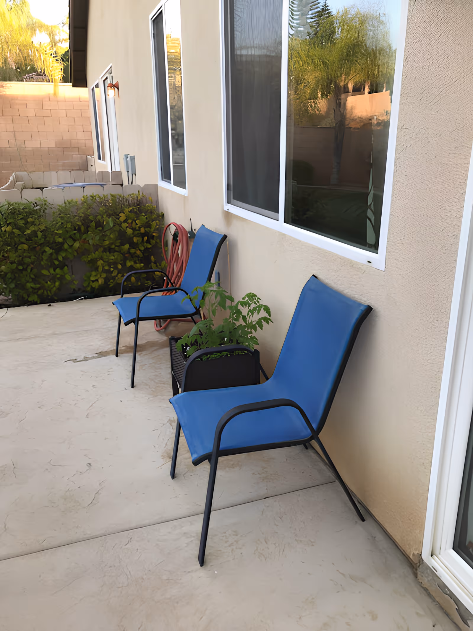 Outdoor patio area with two blue chairs and a small black planter with green plants between them, adjacent to a beige building with windows. There is a red garden hose coiled against the wall and some green bushes along a low wall in the background.