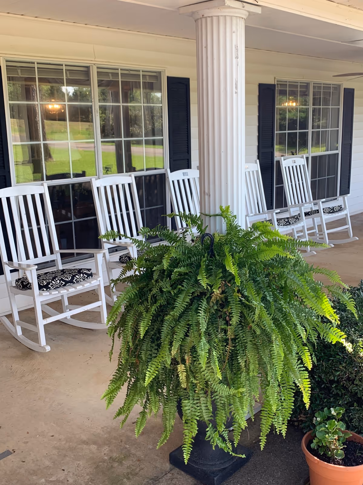 A covered porch area with white rocking chairs lined up against a white exterior wall with large windows and black shutters. In the foreground, there is a large green fern plant in a black planter and a smaller potted plant on the ground.
