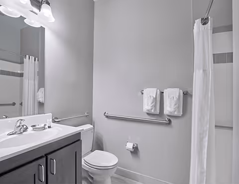 Accessible bathroom with a sink vanity and mirror, toilet with grab bars, towel rack, and a shower with a curtain.