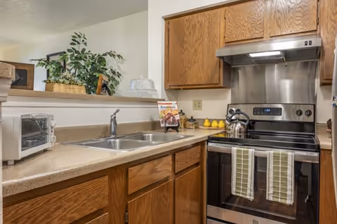 A kitchen area featuring wooden cabinets, a stainless steel stove with two green-striped towels hanging on the handle, a stainless steel sink with a faucet, a small toaster oven on the counter, and decorative items including a plant and a cookbook on a stand.