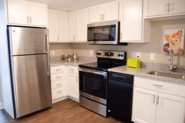 Modern kitchen with stainless steel refrigerator, electric stove with oven, microwave, black dishwasher, white cabinets, granite countertops, and a small sink. A colorful framed picture of a dog wearing glasses and a flower crown is on the wall above the sink.
